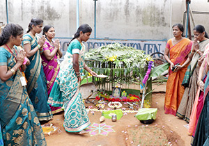 Pongal Celebration